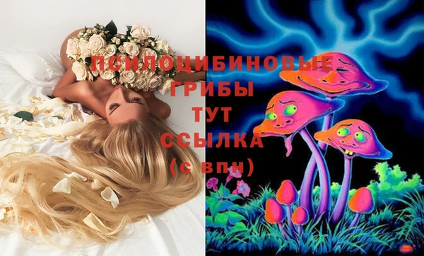 гашик Абинск