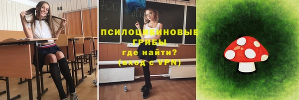 гашик Абинск
